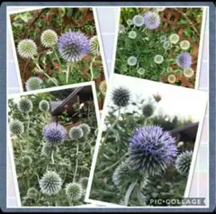 なっち様 リクエスト 3点 まとめ商品