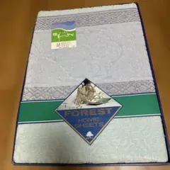 Item thumbnail for item 0f130f03-fd68-49a4-be03-278e36249aa7