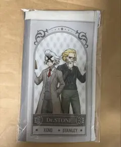 Dr.STONE くじ引き堂 読書の秋BOOK風フラットポーチ ゼノ スタンリー