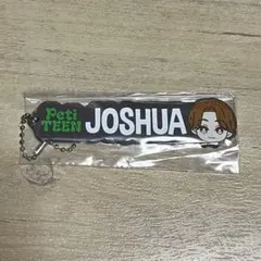 SEVENTEEN セブチ 一番くじ ラバーチャーム ジョシュア