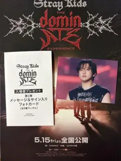 StrayKids スキズ 映画 dominATE 入場特典 トレカ チャンビン