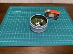 パンダ ジオラマ 置物 缶入り