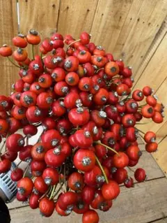 Jagal様 リクエスト 2点 まとめ商品