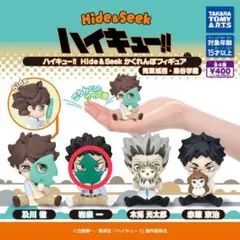 ハイキュー！！Hide&Seekかくれんぼフィギュア 岩泉一
