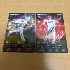 カルビー プロ野球カード 2枚セット