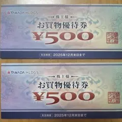 ヤマダデンキ 優待券 500円2枚