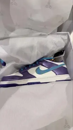 28.5 Nike Kobe Bryant × Dunk Low Protroのサムネイル