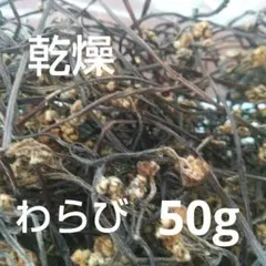 シャリファ様専用 秋田県産 かぎわらび 500g - メルカリ