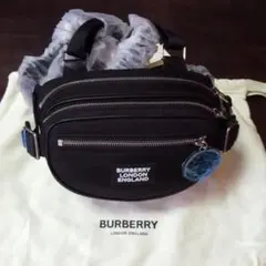 BURBERRY　キャノンバックのサムネイル