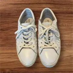 Item thumbnail for item da72eb91-b35c-443c-9be8-126e8b19c1d5