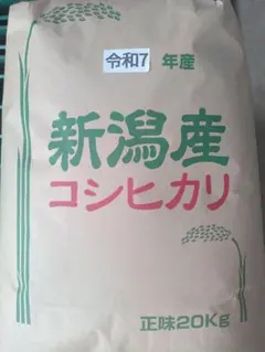 令和7年9月収穫 石川県産コシヒカリ 20kg (10キロ✖︎2) - メルカリ
