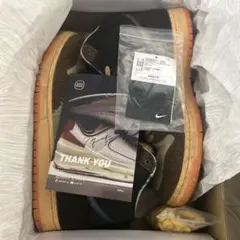 Concepts × Nike SB Dunk High "Duck"