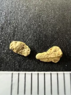 大粒砂金2個　自然金　国内採取品　観賞・資料用