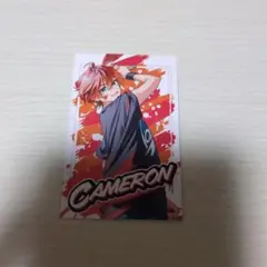 女子研究大学　キャメロン チェキ風カード 2ndライブ