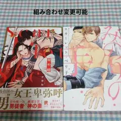 砂の薔薇 燁姫 佐伯かよの 新谷かおる 同人誌 - メルカリ