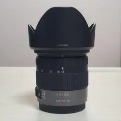 Item thumbnail for item 4c03b384-cfaa-4608-899a-a7ee6da6fd98