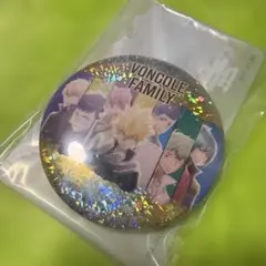 彩光キラキラ カンバッジコレクション REBORN シークレット 初代