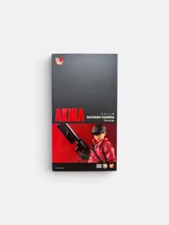 PROJECT BM! 金田正太郎 AKIRA メディコム・トイのサムネイル