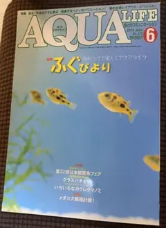 極美品　月刊アクアライフ　淡水と汽水のフグたち　2014年6月号