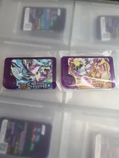 ポケモンフレンダ 第5弾 スーパートレジャー テラスタル2枚 まとめ売り