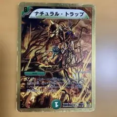 ナチュラル・トラップ 31/35【匿名配送】