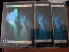 mtg FF バンドル 英語 foil 基本土地 Forest 森 6枚セット - メルカリ