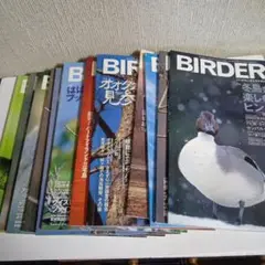 BIRDER　2006年分