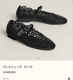 2026年最新】HERMES レディース フラットシューズ・バレエシューズの