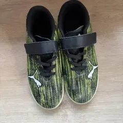 Item thumbnail for item ec339f38-7a7b-41a9-ac10-455fd7fd0899