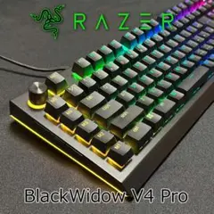 Razer BlackWidow V4 Pro (黄軸)