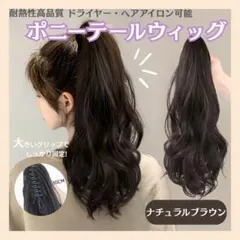 ポニーテール ウィッグ エクステ クリップ ナチュラルブラウン ロング 35cmのサムネイル