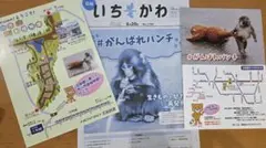 広報いちかわ1部、北総鉄道市川市動植物園コラボ#がんばれパンチフライヤー2枚
