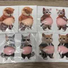 おなか ぷにぷに シール 柴犬 仲間 ステッカー 3D 立体シール ねこ 8匹