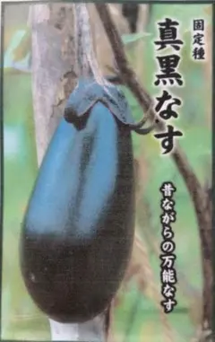 びざじ様 リクエスト 3点 まとめ商品