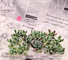 はまー様 リクエスト 3点 まとめ商品