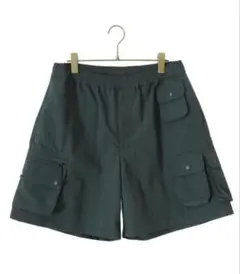 daiwa pier39 tech hiker mountain shortsのサムネイル