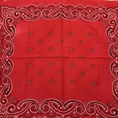 Item thumbnail for item d374d9fd-1e41-44ae-bdbe-1d55ce74c0f6