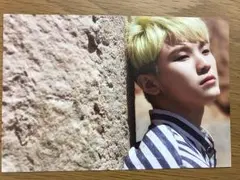 seventeen ウジ ポストカード