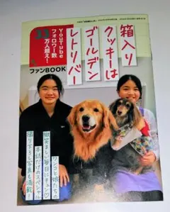 箱入りクッキーはゴールデンレトリバー ファンBOOK