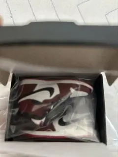 シカゴ カプセルトイ