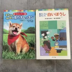 おおはしみえこ 絵本2冊セット