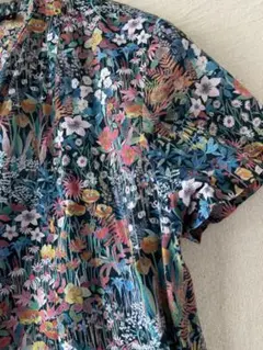 Item thumbnail for item 1a8af5b8-1fda-4846-bba6-11fb0e8759cd