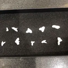 Item thumbnail for item cd16e93d-a771-4b81-bfcb-ab886821adbd