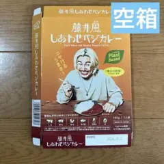 藤井風 Fujiikaze カレー皿 2枚セット しあわせベジカレー2つ 新品