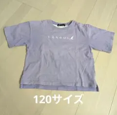 Tシャツ　kangol カンゴール　120サイズ キッズ　半袖　夏服のサムネイル