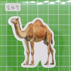 2026年最新】ラクダの人気アイテム - メルカリ