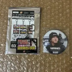 千葉ロッテマリーンズ 田中晴也 グッズセット