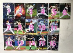 プロ野球 カード プロ野球チップス カルビー Calbee スポーツカード