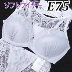 ★22[E75&L]Eleganteソフトワイヤー ブラジャー　レースショーツのサムネイル
