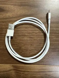 Apple Lightningケーブル USB ホワイト
